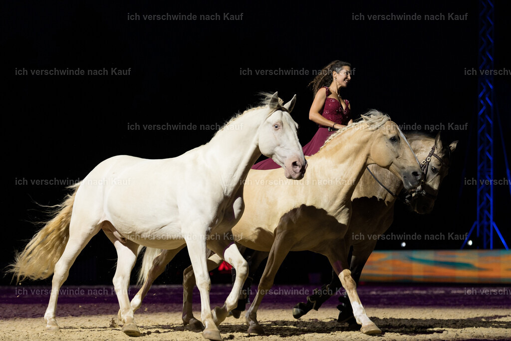 Gala-122 | working equitationturnier fotograf videograf stoibphotography marixx film working equitation deutschland reitsport turnierfotografie eventfotografie equestrian events