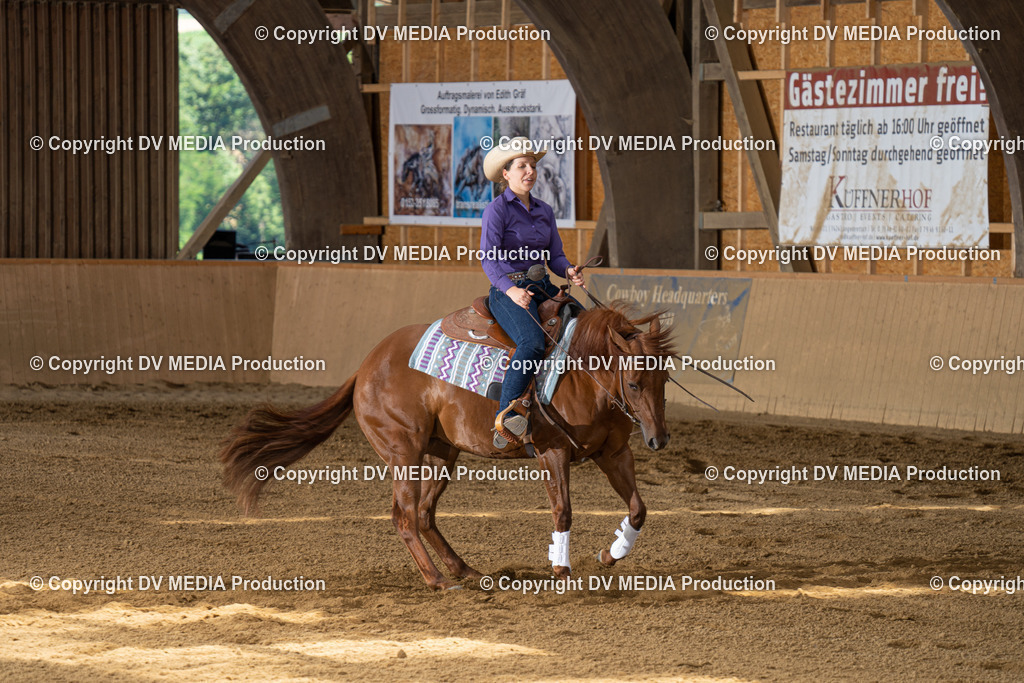 DSC00031 | dv-media-shop - Realisiert mit Pictrs.com