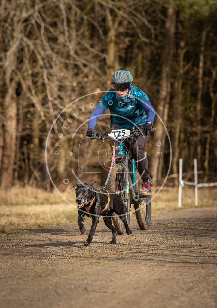 DV3A4526 | Hundefotografie, Tierfotograf, Pfotenfotografie, Fotoshooting Hund, Hunde Portrait, Hundesport, Hundeportraits, Heideshooting, Hunde, Sportfotograf, Hundefotograf, Turnierhundsport, THS,  - Realisiert mit Pictrs.com