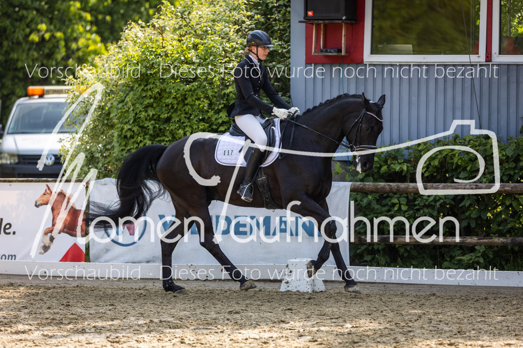 Donop24-A2-Dre-058 | MomenTaufnahmen Pferdesportfotos