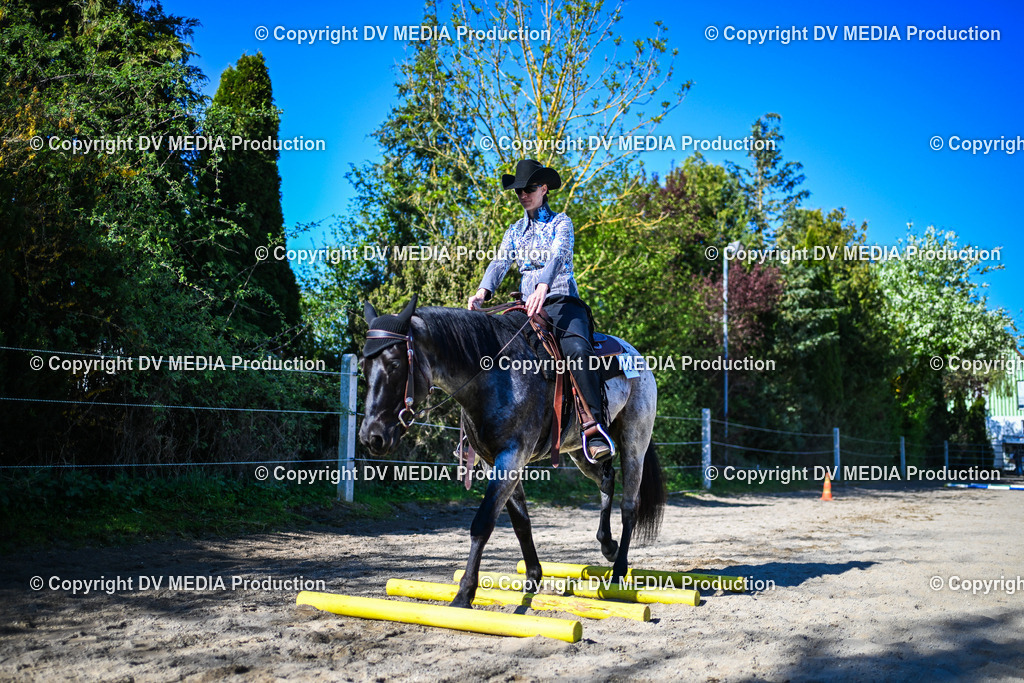 DSC_1659 | dv-media-shop - Realisiert mit Pictrs.com