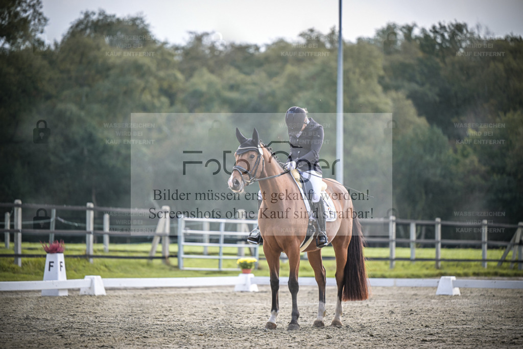 DOS_B193 | Entdecke hochwertige Reitturnierfotos von Foto Oger. Professionell, emotional und authentisch – jetzt Lieblingsmomente im Shop bestellen. - Realisiert mit Pictrs.com