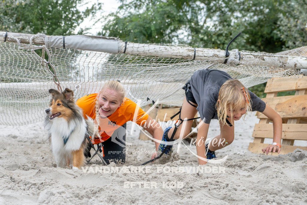 1542_ZZ96672 | kk-dogfotos