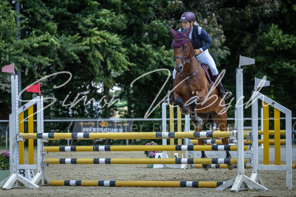 20260704-_3LI9580 | Tierfotografie Pferde, Hunde, Katzen, Haustiere.
Turnierfotografie Reitturniere, Reiten, Springreiten, Dressur in Hanau, dem Main-Kinzig-Kreis und dem Rhein-Main- Gebiet um Frankfurt
