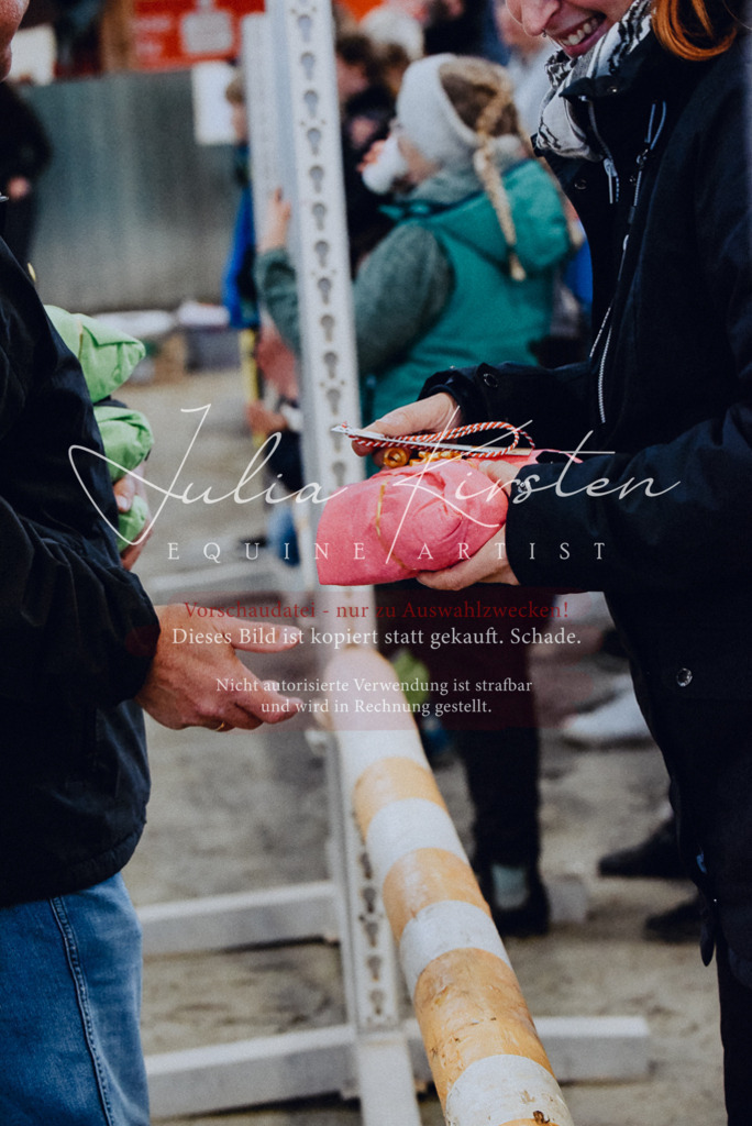 DSC_7039 | Pferde- und Turnierfotografie in Westsachsen. Pferdeportraits, Auftragszeichnungen und intuitive Kunst.