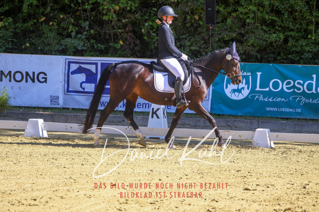 DKP41786 | Turniersportfotografie; Pferdefotografie; Dressurfotografie