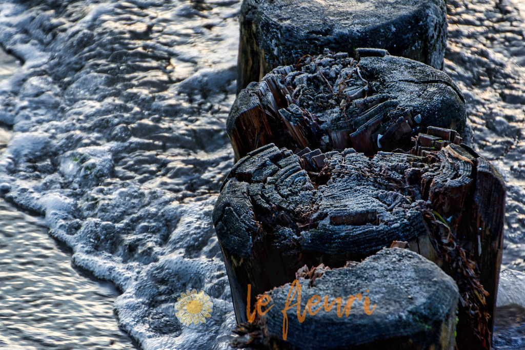 Aus einer anderen Perspektive | Dies ist der Shop von Florian Blum - le fleuri. Langenthal, Bern, Schweiz. Sie können hier meine oder ihre eigenen Fotos als Fotoprodukte kaufen. Tassen, Schlüsselanhänger, Taschen etc. können Sie hier gestalten.  - Realisiert mit Pictrs.com