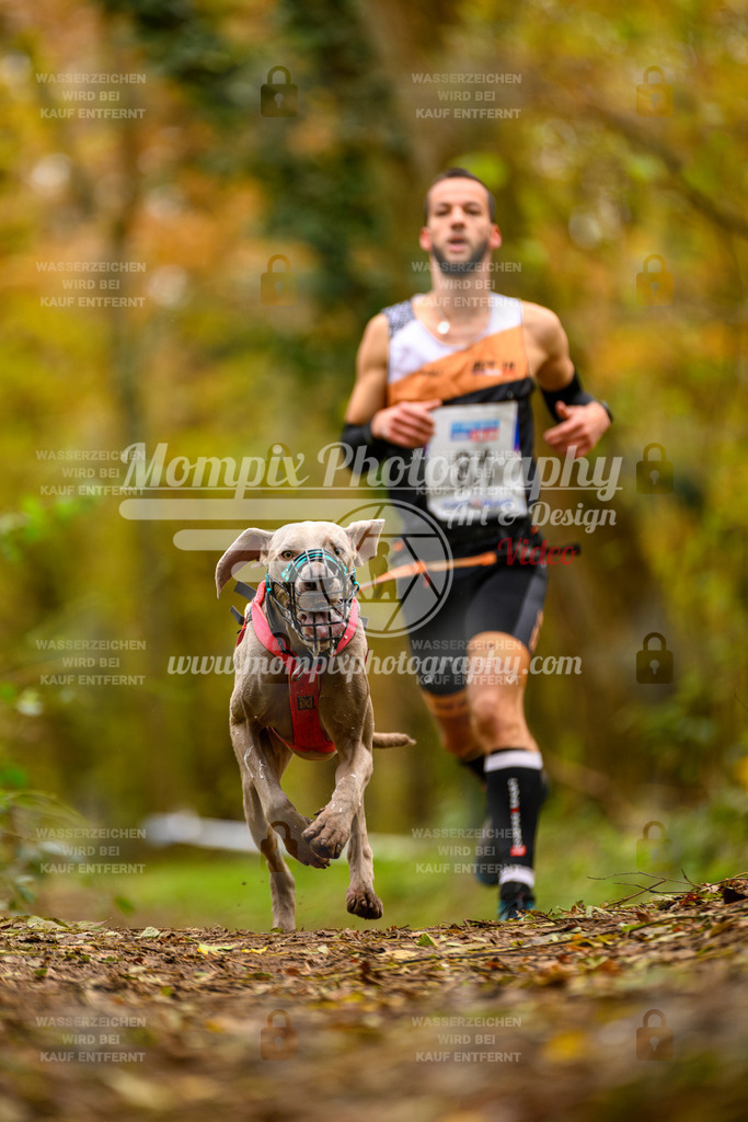 MompixPhotography_Bischwiller24_SA_Canicross-94 | PayLife