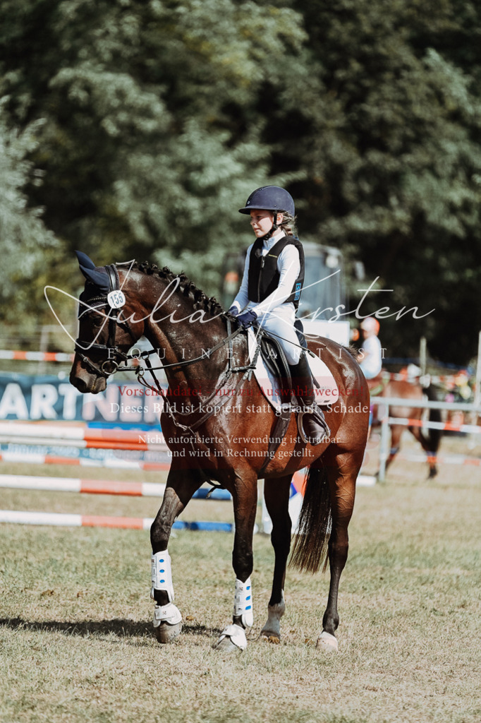 DSC_9785 | Pferde- und Turnierfotografie in Westsachsen. Pferdeportraits, Auftragszeichnungen und intuitive Kunst.