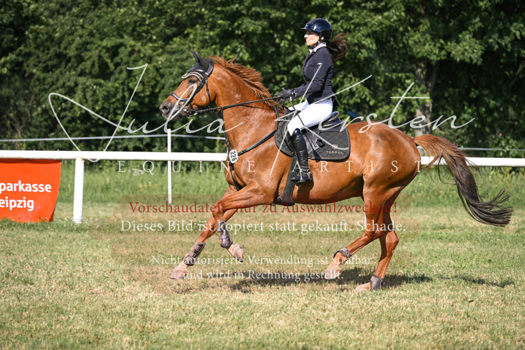 DSC_1382 | Pferde- und Turnierfotografie in Westsachsen. Pferdeportraits, Auftragszeichnungen und intuitive Kunst.