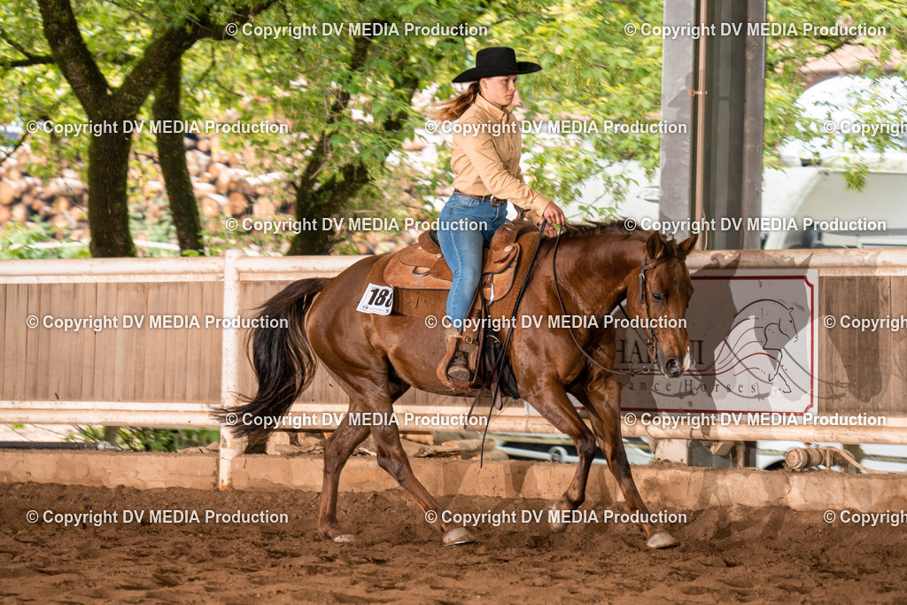 Erbach Tag 4-694 | dv-media-shop - Realisiert mit Pictrs.com