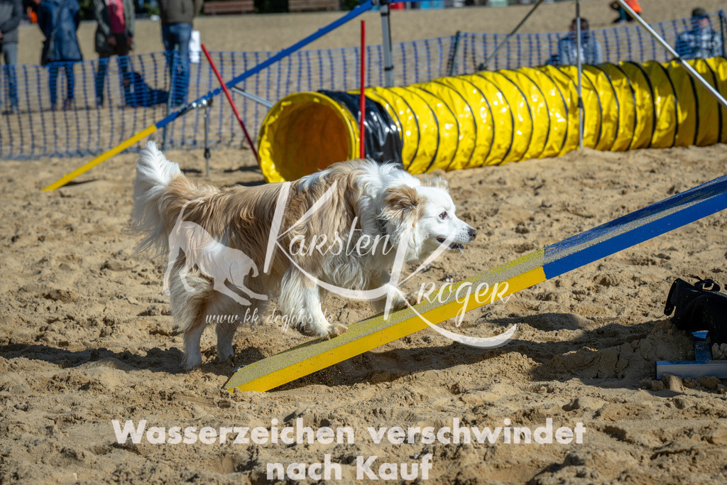 1138_ZZ91683 | kk-dogfotos