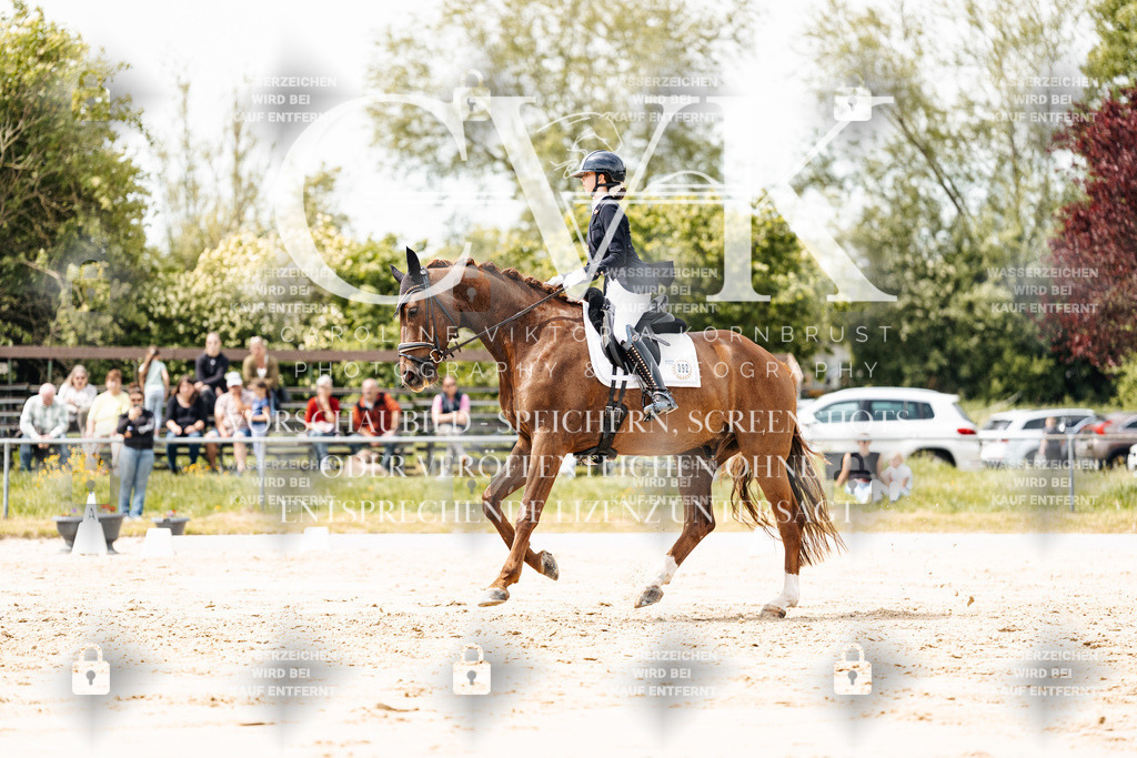 CK902133 | Turnierfotografie Pferdefotografie Trier Rheinland-Pfalz Pferdesport Reitsport Tierfotografie Sportfotografie Pferdevideo Pferdevideografie Equestrianvideography equestrianphotography  - Realisiert mit Pictrs.com