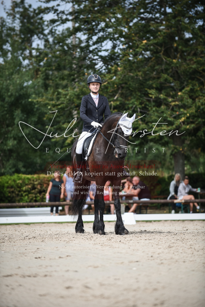 DSC_8577 | Pferde- und Turnierfotografie in Westsachsen. Pferdeportraits, Auftragszeichnungen und intuitive Kunst.