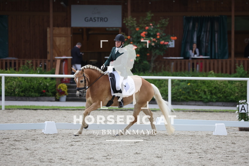 0P6A3634 | Willkommen bei Brunnmayr - Design & Fotografie – Ihrem Spezialisten für Reitturniere und Pferdeveranstaltungen in Oberösterreich, Salzburg und Bayern! Seit über 17 Jahren sind wir leidenschaftlich dabei.