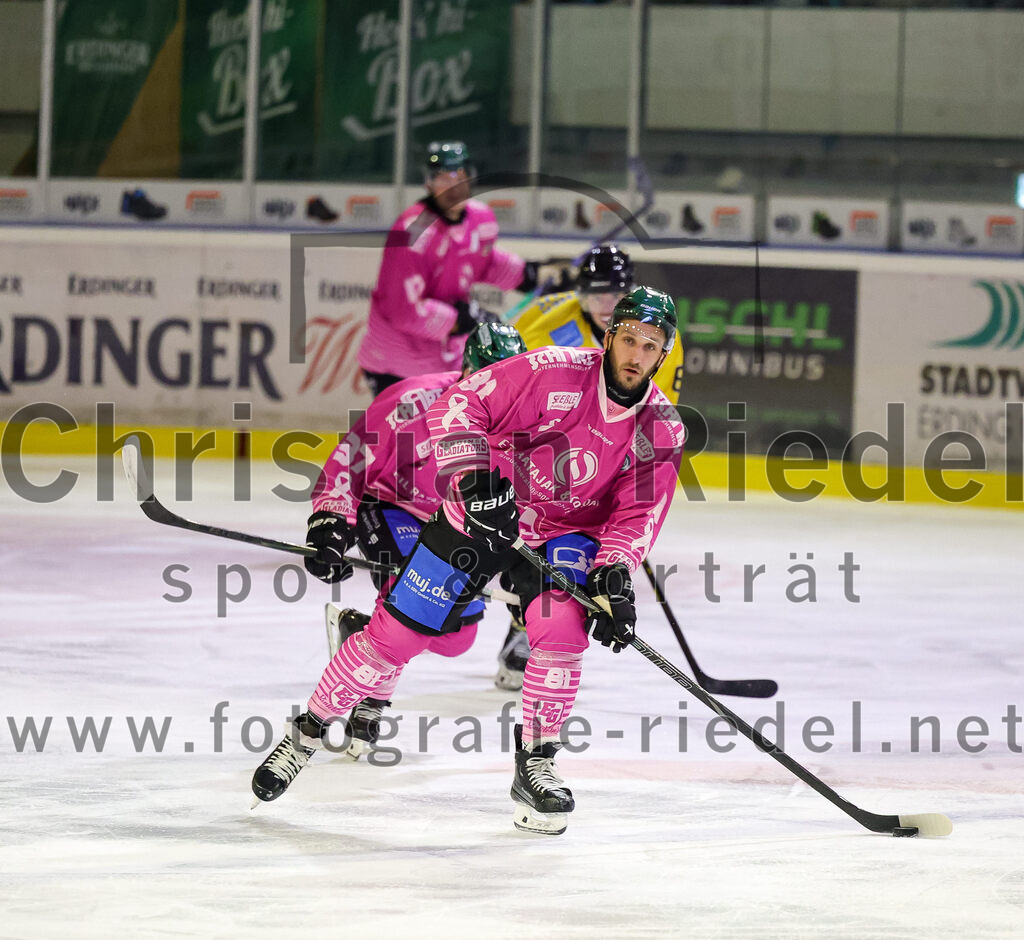2025-10-10_122_TSV_Erding_gegen_onesto_Tigers_Bayreuth | Erding, Deutschland, 10.10.2025:Eishockey, Oberliga Süd 2025 / 2026, 7. Spieltag, TSV Erding gegen onesto Tigers Bayreuth, Endergebnis: 2:5Maximilian Forster (Erding Gladiators, #81)Foto: Christian Riedel / fotografie-riedel.net