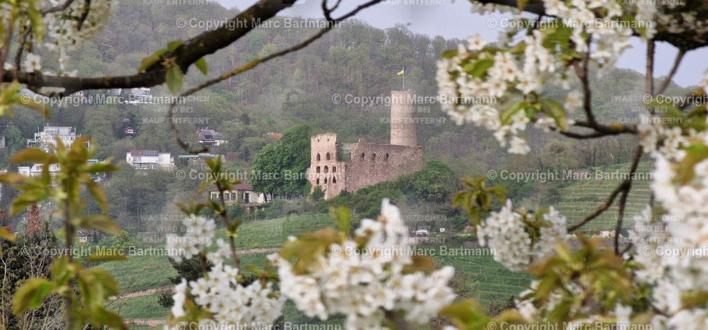 20240408_181736 | Marc Bartmann - Fotografie Schriesheim - Realisiert mit Pictrs.com