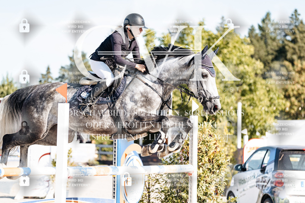CK904665 | Turnierfotografie Pferdefotografie Trier Rheinland-Pfalz Pferdesport Reitsport Tierfotografie Sportfotografie Pferdevideo Pferdevideografie Equestrianvideography equestrianphotography  - Realisiert mit Pictrs.com