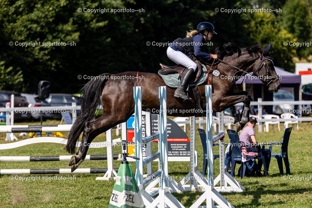 240831-VW-IS6A3794 | Sportfoto SH - Realisiert mit Pictrs.com