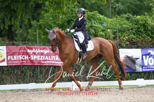 DKP41479 | Turniersportfotografie; Pferdefotografie; Dressurfotografie