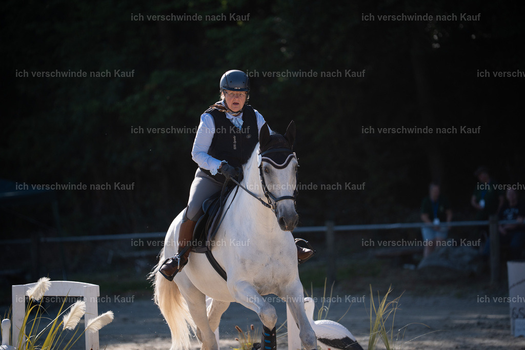 WL_SP_47_Stoibphotography_SO13539 | working equitationturnier fotograf videograf stoibphotography marixx film working equitation deutschland reitsport turnierfotografie eventfotografie equestrian events
