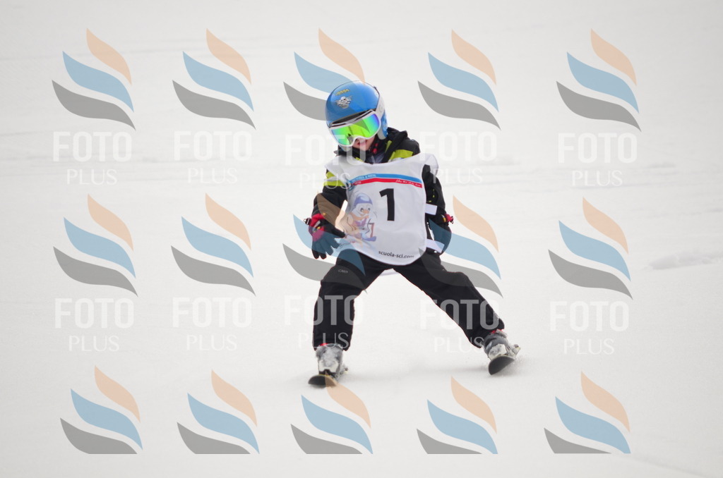 B9097 | holidayphoto