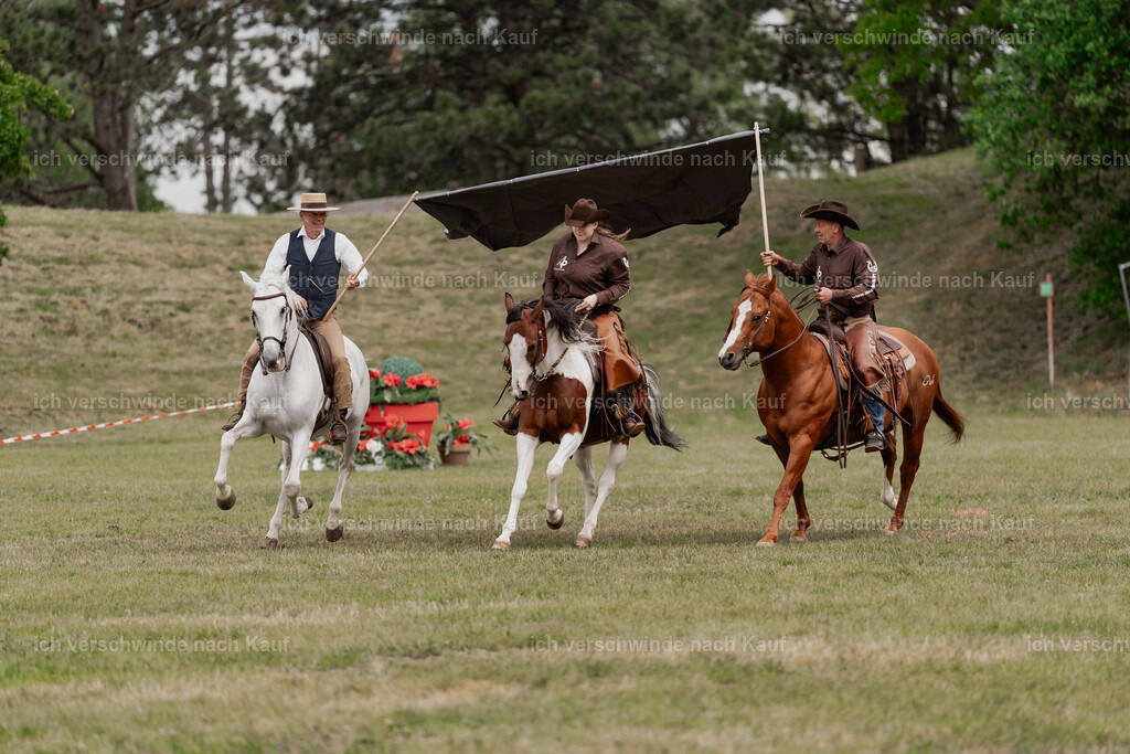 Showprogramm-106 | working equitationturnier fotograf videograf stoibphotography marixx film working equitation deutschland reitsport turnierfotografie eventfotografie equestrian events