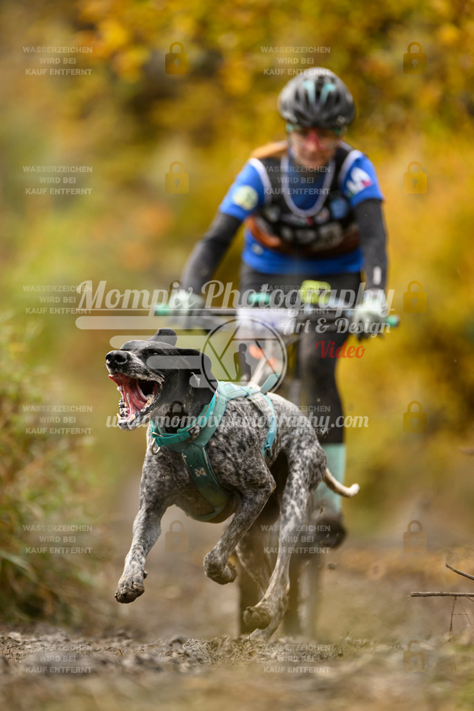 MompixPhotography_ICF_WC_2024_SA_Bike_-123 | PayLife
