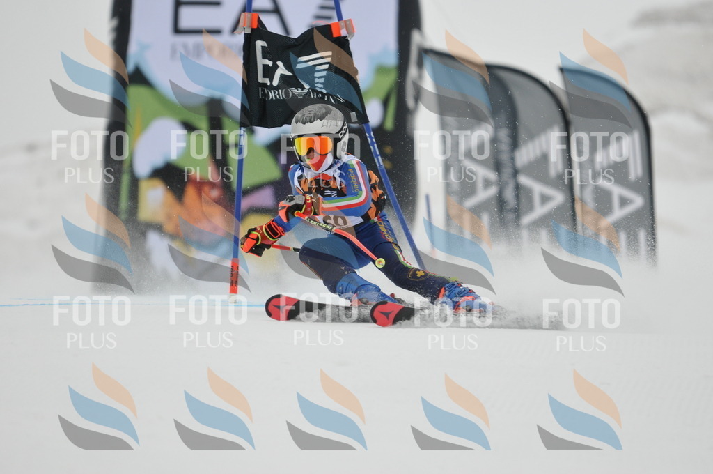 DSC_7783 | holidayphoto