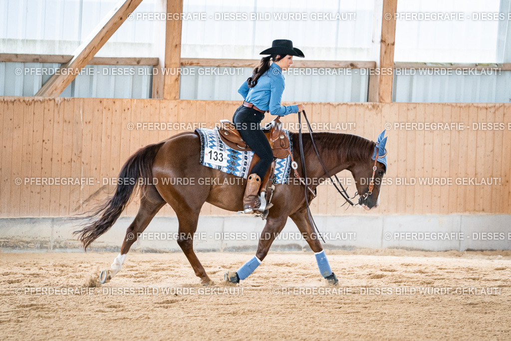 DSC08592 | Pferdegrafie