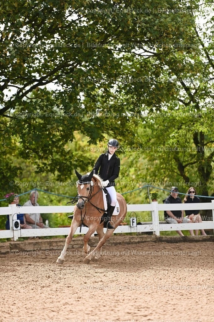 20230716_10-1_Reiter-WB Schritt - Trab - Galopp_0209 | equistock