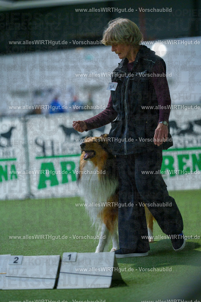 7R502070 | Professionelle Tierfotografie in Mönchengladbach von Daniel Wirth (allesWIRTHgut). Liebevolle & natürliche Bilder von Hunden & Katzen für unvergessliche Erinnerungen.