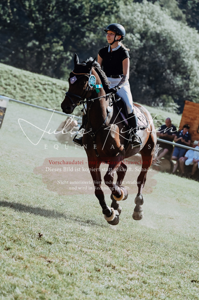 DSC_6238 | Pferde- und Turnierfotografie in Westsachsen. Pferdeportraits, Auftragszeichnungen und intuitive Kunst.