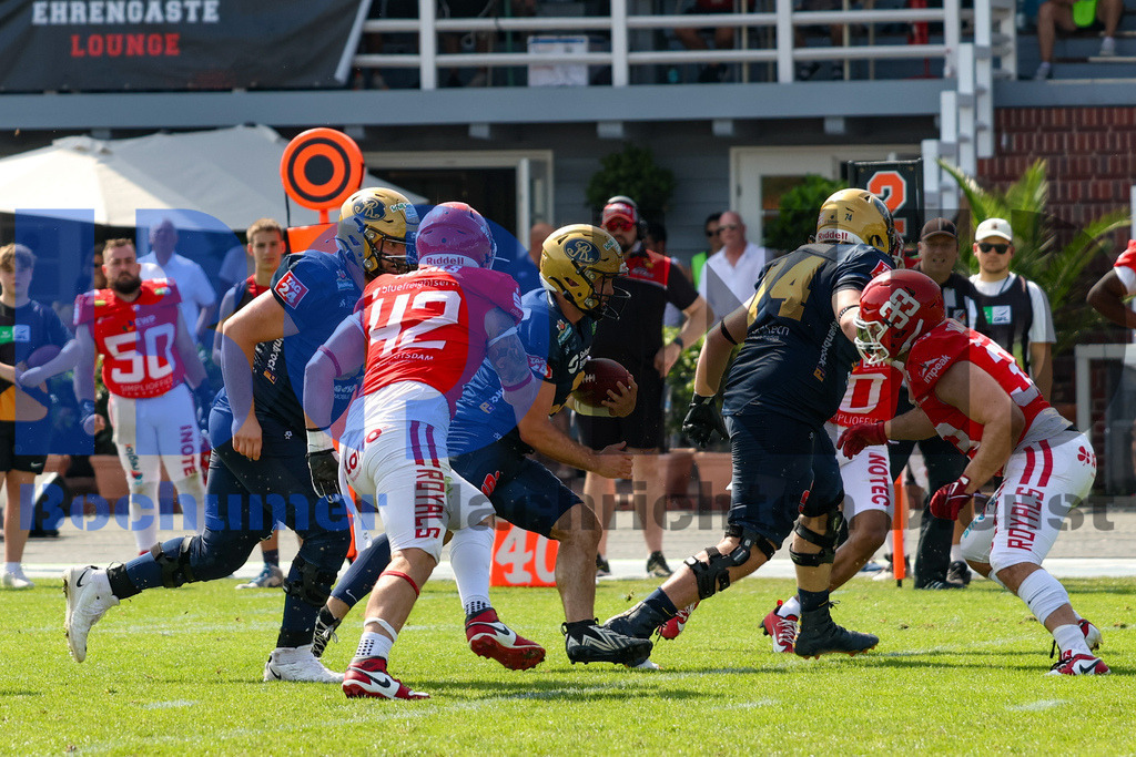 GFL: Potsdam Royals vs. Dresden Monarchs{date} -  | {headline}(Foto: Thomas Sobotzki / BOND) - Realisiert mit Pictrs.com