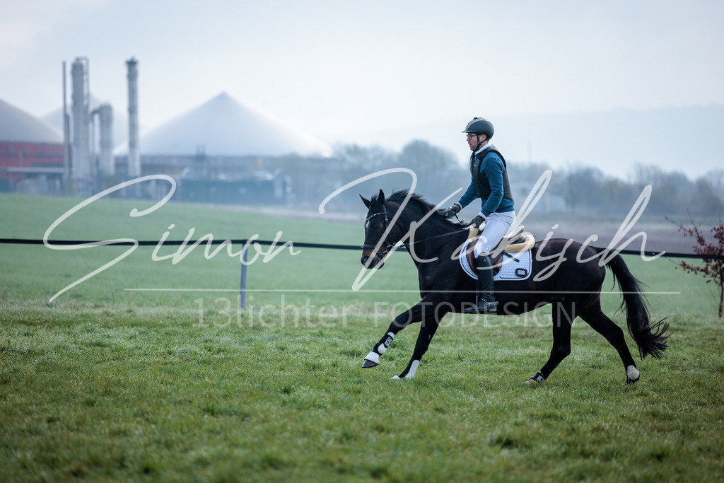 20260329-_3LI3440 | Tierfotografie Pferde, Hunde, Katzen, Haustiere.
Turnierfotografie Reitturniere, Reiten, Springreiten, Dressur in Hanau, dem Main-Kinzig-Kreis und dem Rhein-Main- Gebiet um Frankfurt