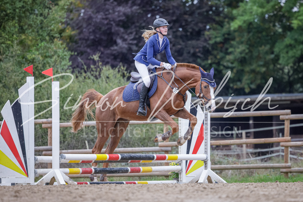 20251012-_3LI2986 | Tierfotografie Pferde, Hunde, Katzen, Haustiere.
Turnierfotografie Reitturniere, Reiten, Springreiten, Dressur in Hanau, dem Main-Kinzig-Kreis und dem Rhein-Main- Gebiet um Frankfurt