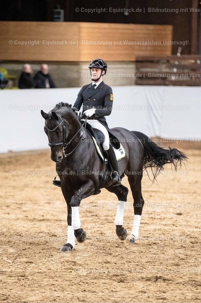 20260307_Hengstvorstellung-Marbach_0514 | equistock
