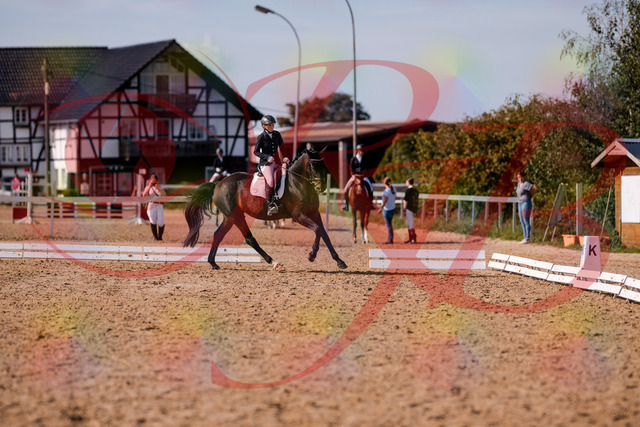 2026_10_03_Siefer-Hof_133844_Z81_97071848 | Professionelle Reitsport-, Turnier- und Eventfotografie von Robert Broda. Galerien mit ausgewählten und bearbeiteten Bildern direkt online ansehen und bestellen.