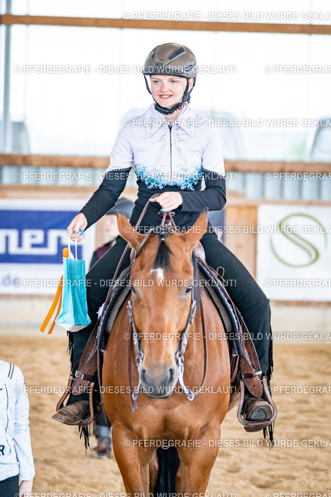 DSC02751 | Pferdegrafie