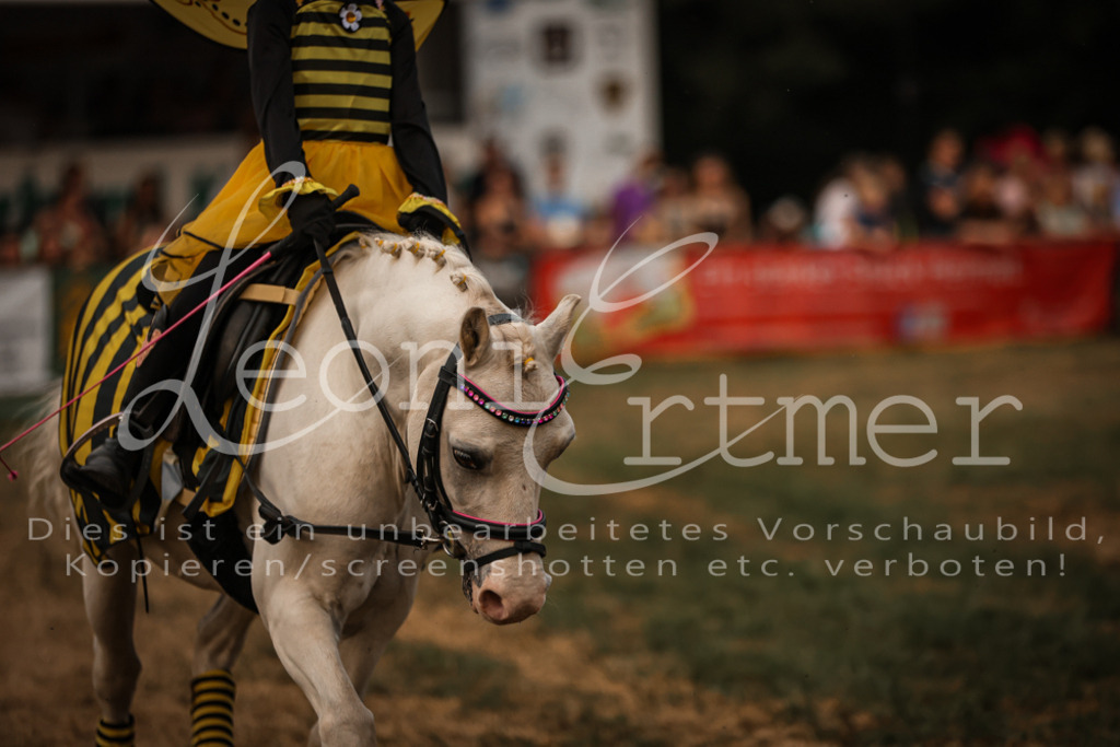 SaShow00089 | Leoni Ertmer Photography - Realisiert mit Pictrs.com