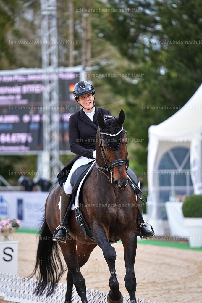10-193-ST.GEORG SPECIAL -Marixx-3380 | working equitationturnier fotograf videograf stoibphotography marixx film working equitation deutschland reitsport turnierfotografie eventfotografie equestrian events