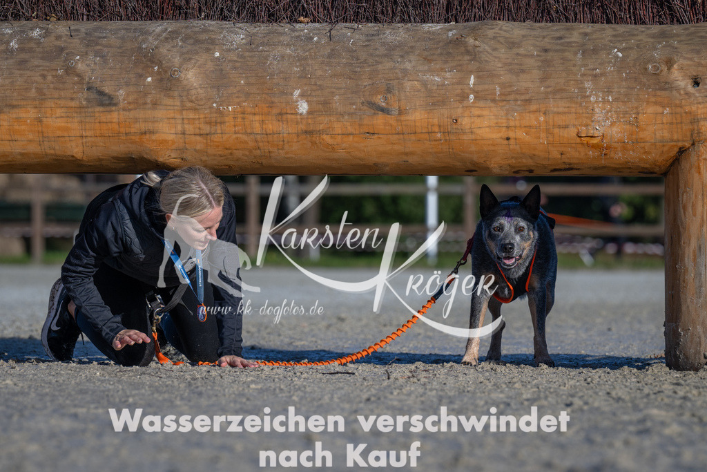 1033-_ZZ91626 | kk-dogfotos