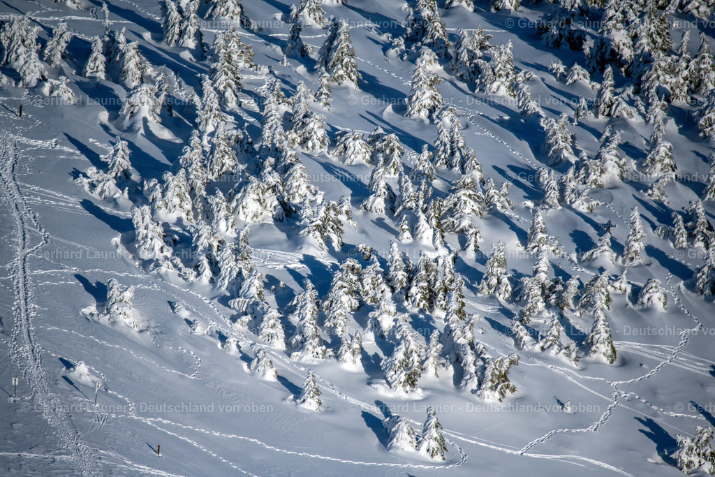 4044946 | SCHIERKE 14.02.2021 Winterlich schneebedeckte Baumspitzen in einem Waldgebiet in Schierke im Nationalpark Harz im Bundesland Sachsen-Anhalt, Deutschland. // Wintry snowy treetops in a wooded area in Schierke in the Harz in the state Saxony-Anhalt, Germany. Foto: Gerhard Launer