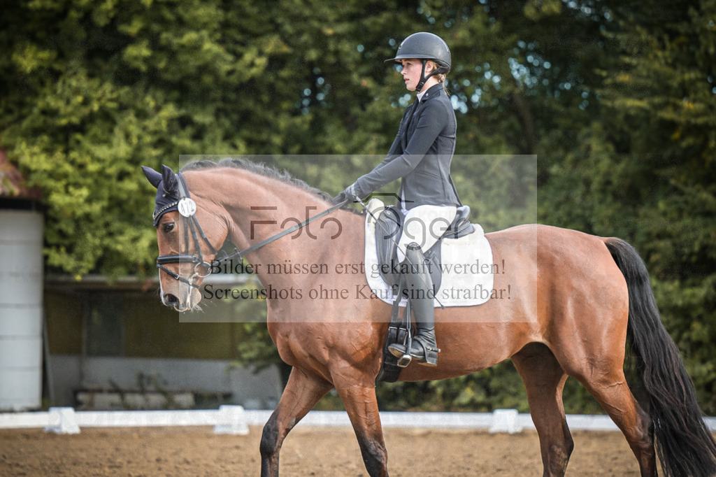 DOS_1507 | Entdecke hochwertige Reitturnierfotos von Foto Oger. Professionell, emotional und authentisch – jetzt Lieblingsmomente im Shop bestellen.Deutschlandweite Turnierfotografie. - Realisiert mit Pictrs.com