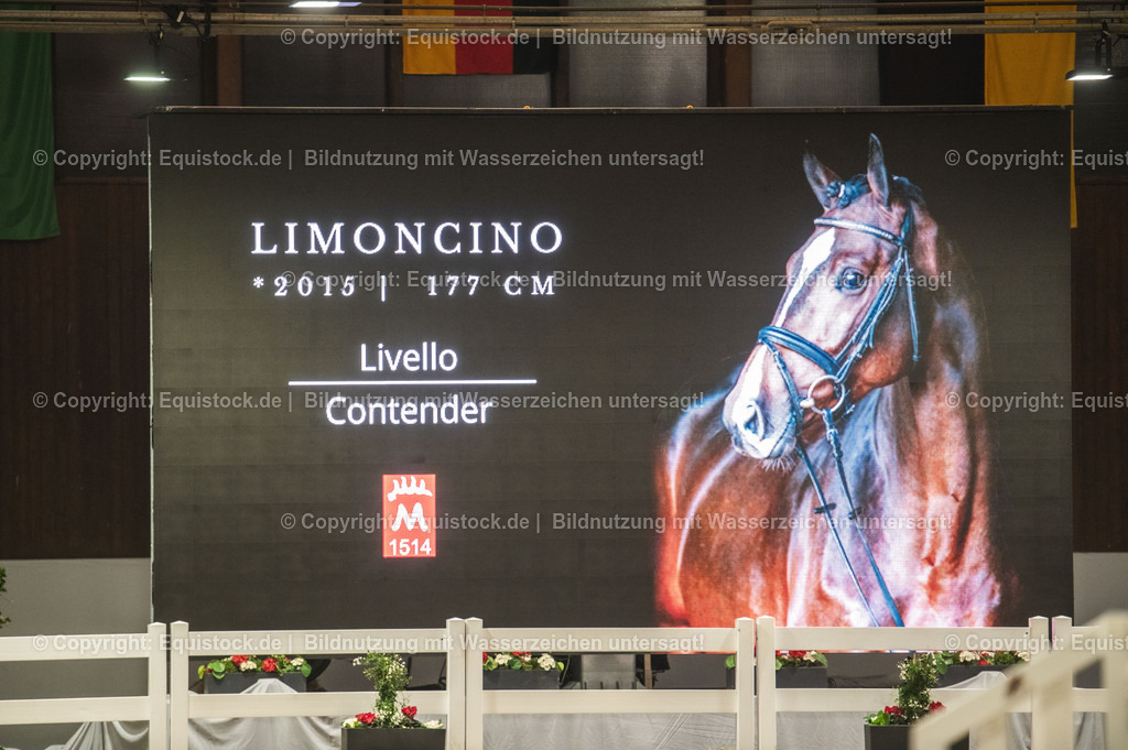 20240302_Hengstvorstellung_Marbach_TOMsPiC_1380-2 | equistock