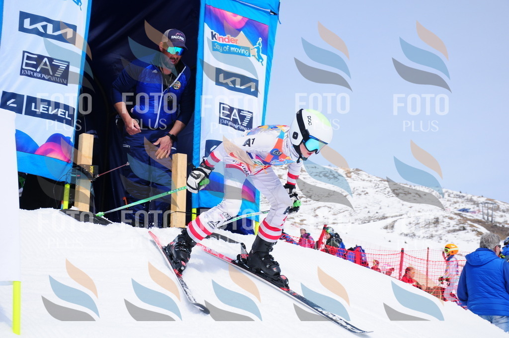 DSC_2416 | holidayphoto