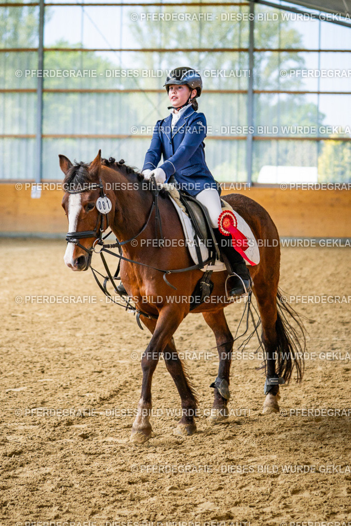 DSC02773 | Pferdegrafie