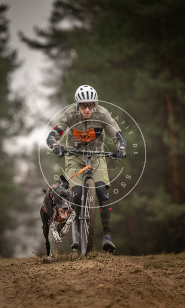 Pfotenfotografie_DV3A4382 | Hundefotografie, Tierfotograf, Pfotenfotografie, Fotoshooting Hund, Hunde Portrait, Hundesport, Hundeportraits, Heideshooting, Hunde, Sportfotograf, Hundefotograf, Turnierhundsport, THS,  - Realisiert mit Pictrs.com
