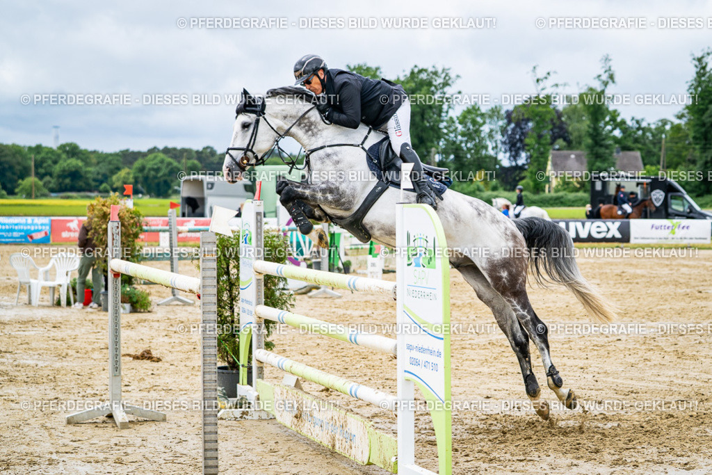 DSC04244 | Pferdegrafie