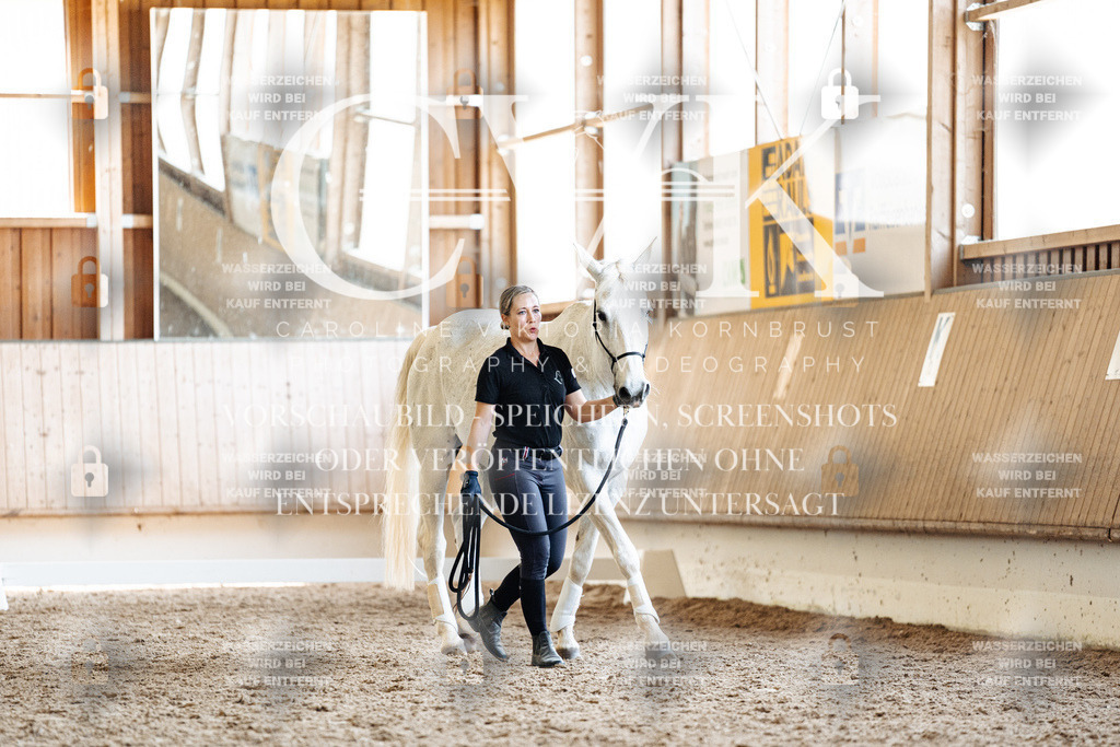 CK907735 | Turnierfotografie Pferdefotografie Trier Rheinland-Pfalz Pferdesport Reitsport Tierfotografie Sportfotografie Pferdevideo Pferdevideografie Equestrianvideography equestrianphotography  - Realisiert mit Pictrs.com